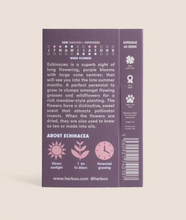 Load image into Gallery viewer, Herboo Magnus Echinea Seeds