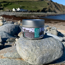 Load image into Gallery viewer, Mella Travel Candle - West Shore Spirit
