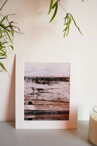 Weisdale Print - Niamh Wylie