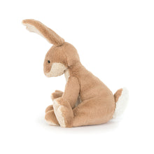 Load image into Gallery viewer, JC Horticus Hare
