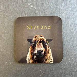 Pink Fish Sheep Coaster - Mootie