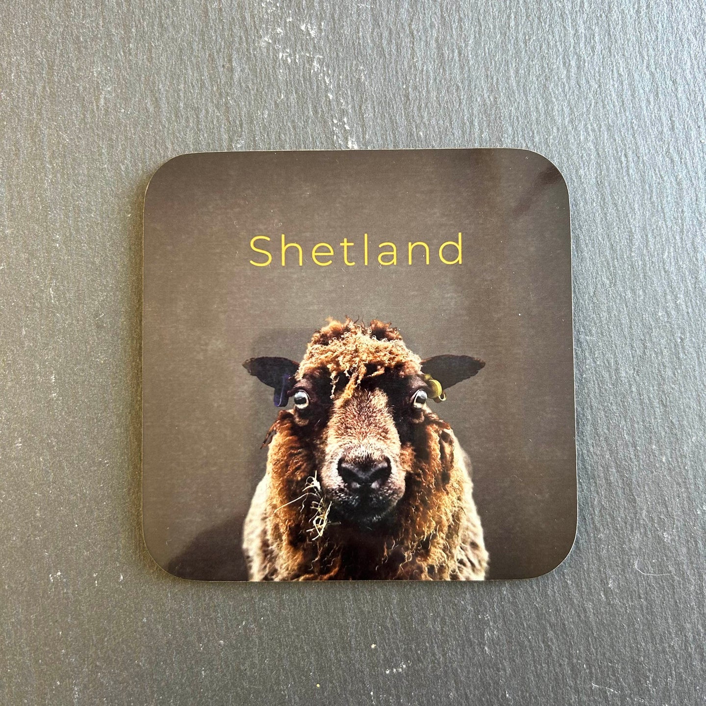 Pink Fish Sheep Coaster - Mootie