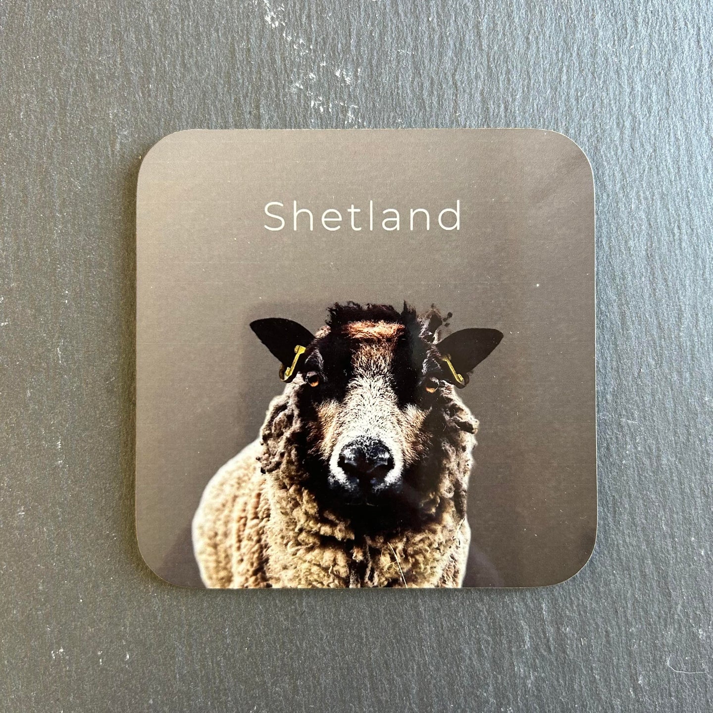Pink Fish Sheep Coaster - Kat