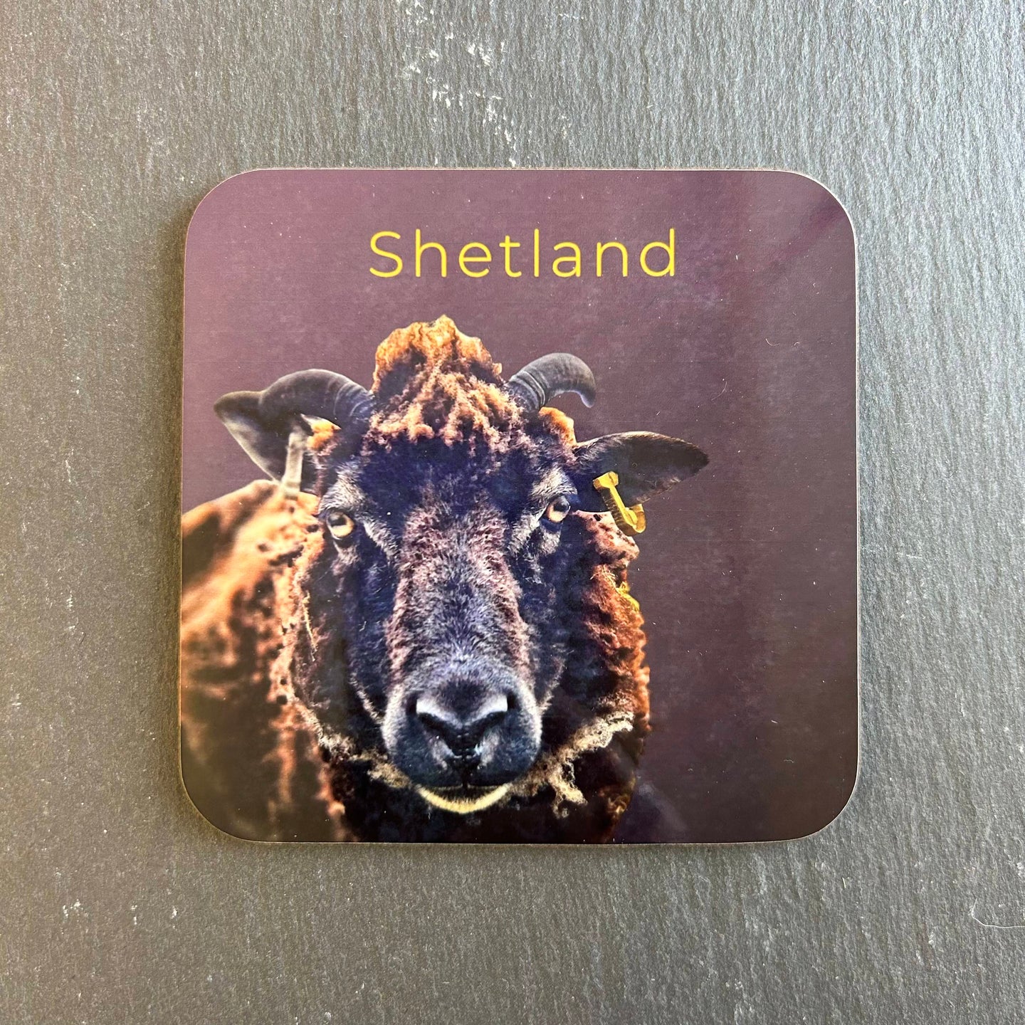 Pink Fish Sheep Coaster - Betty