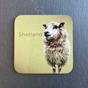 Pink Fish Sheep Coaster - Flo