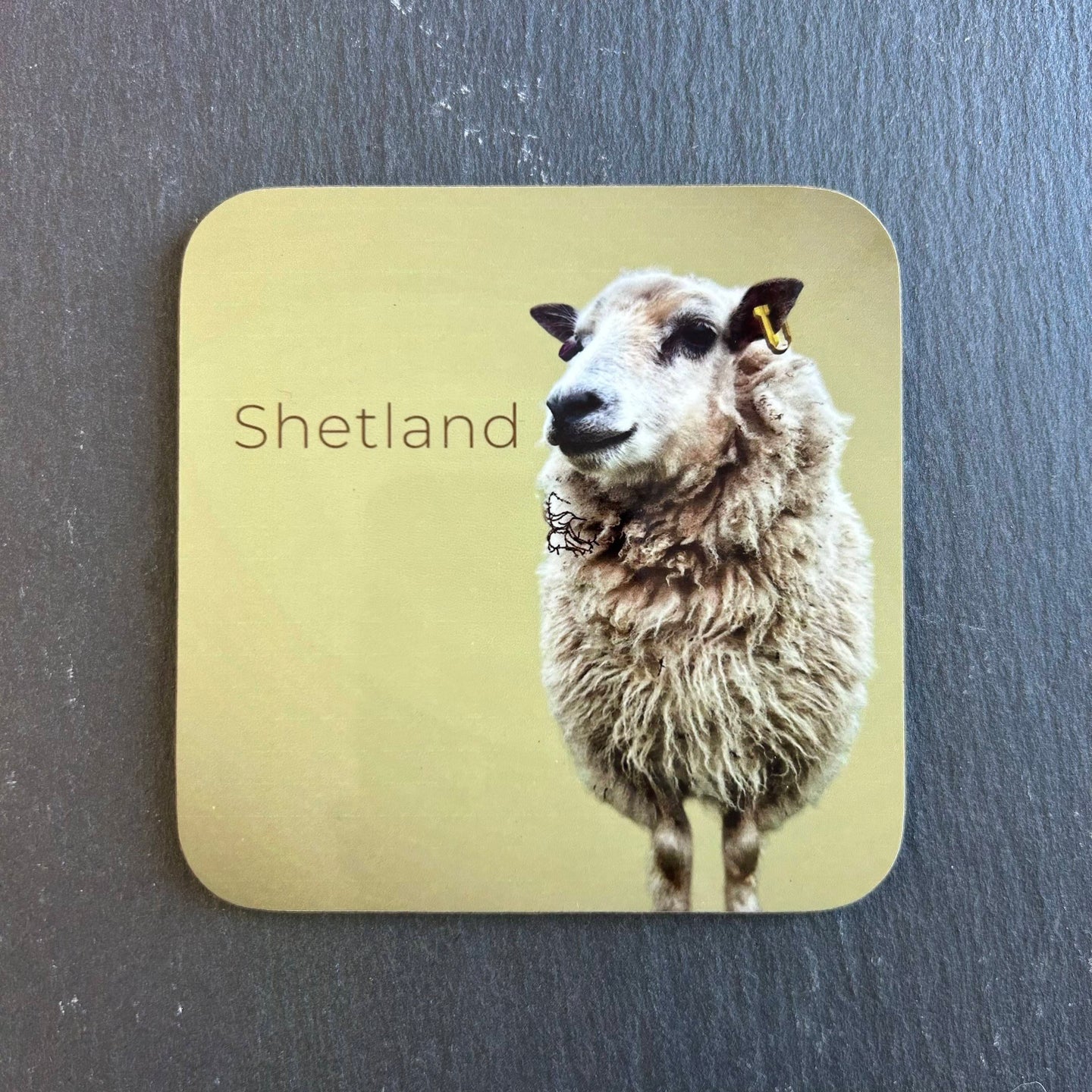 Pink Fish Sheep Coaster - Flo