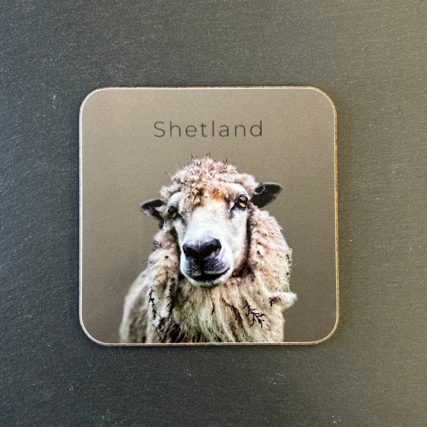 Pink Fish Sheep Coaster - Frankie