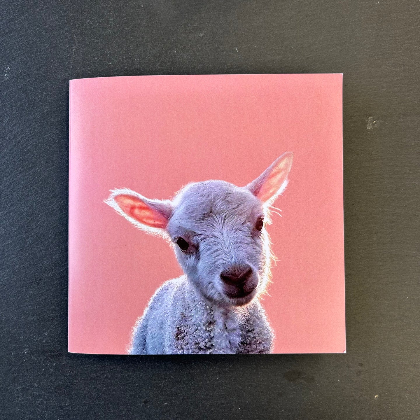 Pink Fish Notebook - Lamb Pink