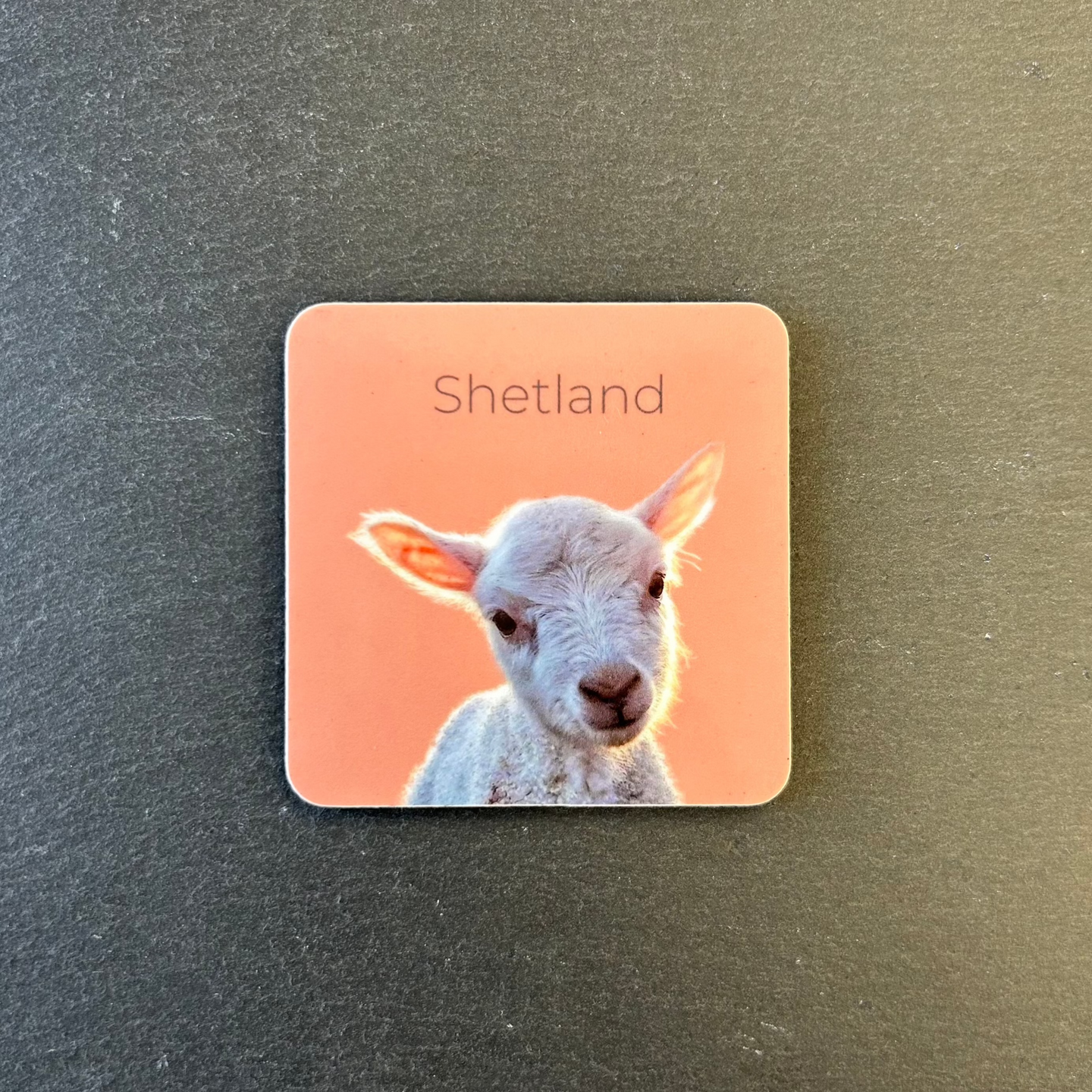 Pink Fish Magnet - Lamb Pink