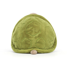 Load image into Gallery viewer, JC Timmy Turtle
