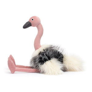 JC Ramonda Ostrich