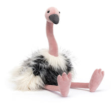 Load image into Gallery viewer, JC Ramonda Ostrich
