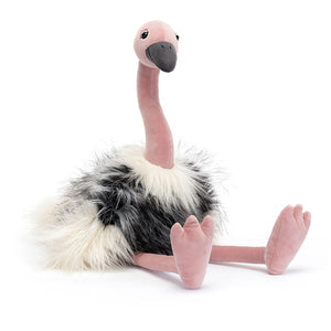 JC Ramonda Ostrich