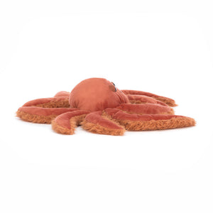 JC Spindleshanks Crab