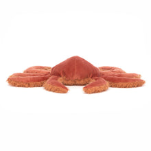 Load image into Gallery viewer, JC Spindleshanks Crab

