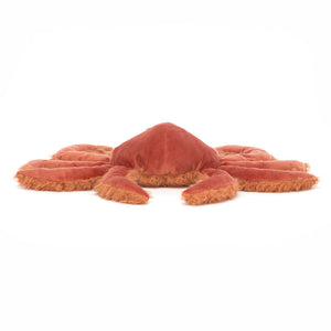JC Spindleshanks Crab