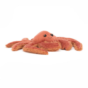 JC Spindleshanks Crab