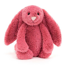 Load image into Gallery viewer, Jellycat Cerise Bunny Medium
