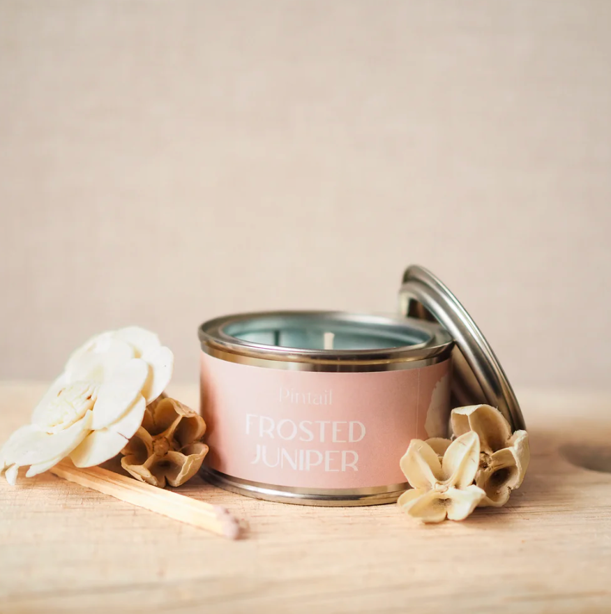 Pintai Frosted Juniper Paint Pot Candle