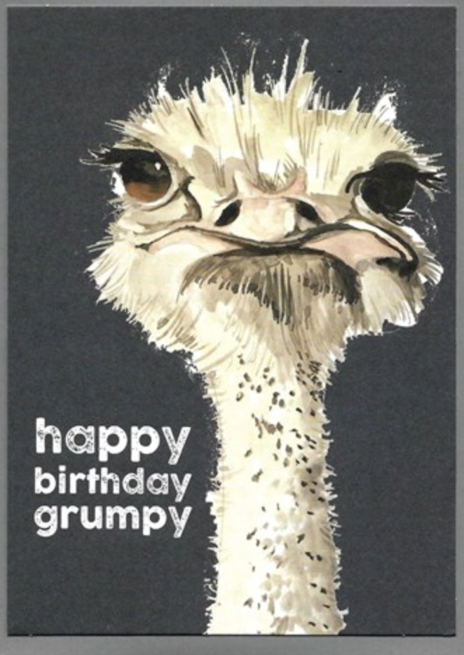 Cinnamon Aitch Happy Birthday Grumpy Card
