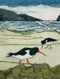 Wild Birds Pocket Notebook - Oystercatcher