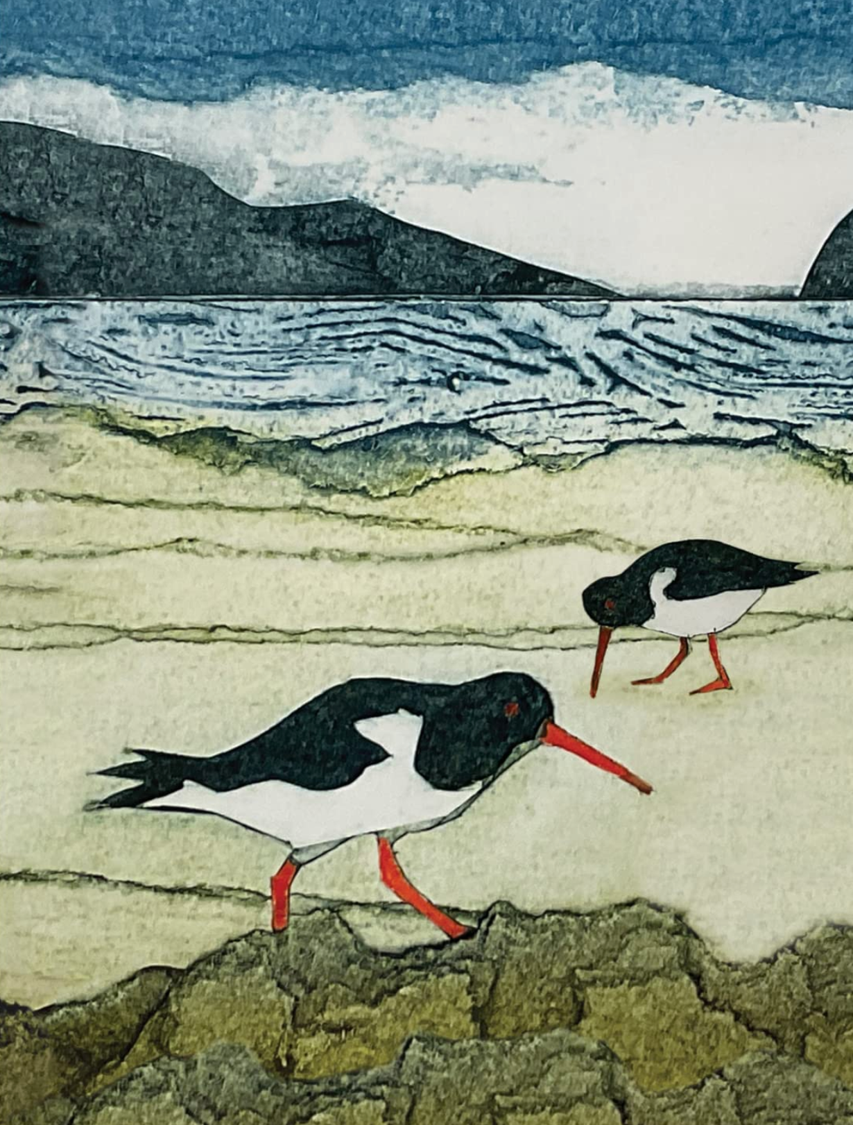 Wild Birds Pocket Notebook - Oystercatcher