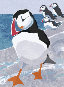 Nature Notebook - Puffin