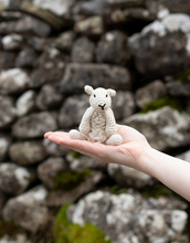 Load image into Gallery viewer, TOFT Simon the Sheep MINI Crochet Kit
