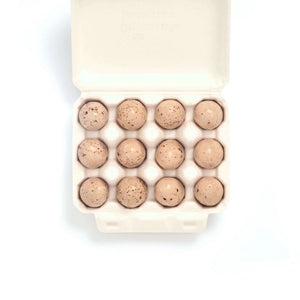 The Chocolate Detective Seagull  Eggs
