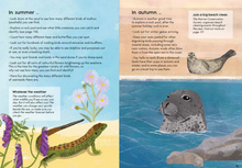 Load image into Gallery viewer, Nature Guide: Seashore - Catherine Brereton
