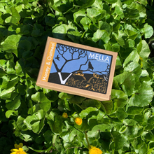 Load image into Gallery viewer, Mella - Scottish Honey &amp; Oatmeal Soap

