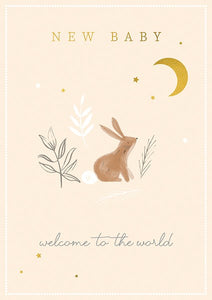 The Art File New Baby Bunny & Moon Card