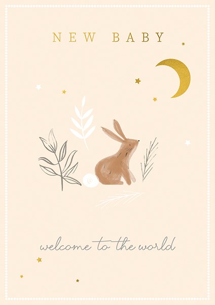 The Art File New Baby Bunny & Moon Card