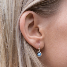 Load image into Gallery viewer, Alison Moore Labradorite Hook Earrings
