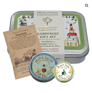Filberts - Gardeners Gift Tin