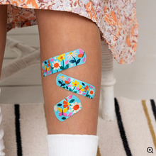 Load image into Gallery viewer, Rex Butterfly Garden Plasters in Tin
