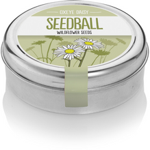 Load image into Gallery viewer, SEEDBALL Oxeye Daisy Seedball Tin
