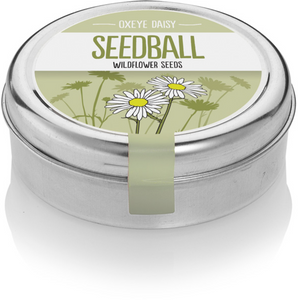 SEEDBALL Oxeye Daisy Seedball Tin